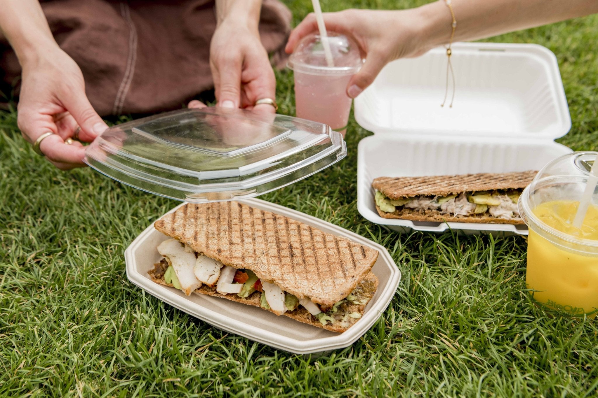600ml octagonal takeaway container with recyclable lid serving a grilled sandwich in the park alongside bagasse clamshells and compostable cups
